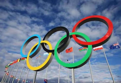 2024年奥运会举办地与详细日程揭晓：点燃你的运动激情！