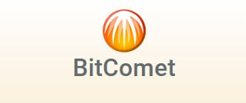 BT与TT的含义解析