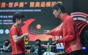 丁宁乒乓球职业生涯中的主教练是谁？