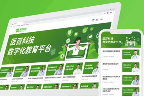 药品营销的核心定义与要点解析