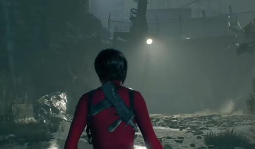 生化危机4重制版DLC《逆命殊途》隐形虫全位置速查：高效除虫行动指南
