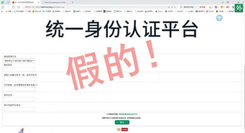 东宸年报信息，真相or骗局？