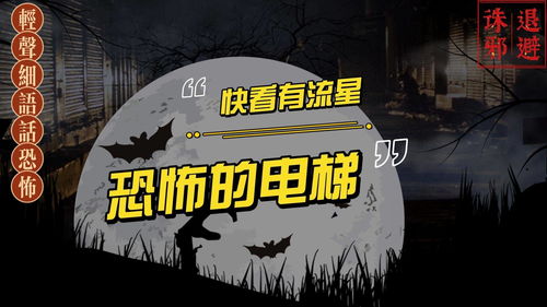 《黄昏恐怖校园：禁锢都市传说》全攻略，助你逃离诅咒笼罩的学园！