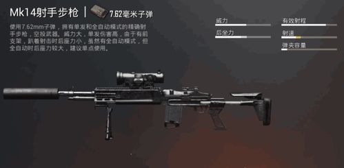 和平精英必知！射手步枪大比拼，最强上分神器