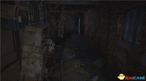 《生化危机8》：珍稀宝藏全搜集攻略指南