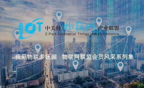 会斯通集团：这家高科技控股集团是国企吗？