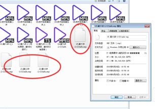 高清解码利器：H264格式视频的最佳播放器推荐