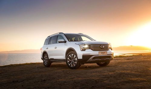 无人区探险：SUV能否真实神秘地带？