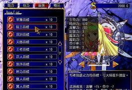 风色幻想5：精通魔兽捕捉的绝密策略