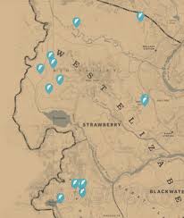 探索指南：藏宝图与传说动物的全收集攻略