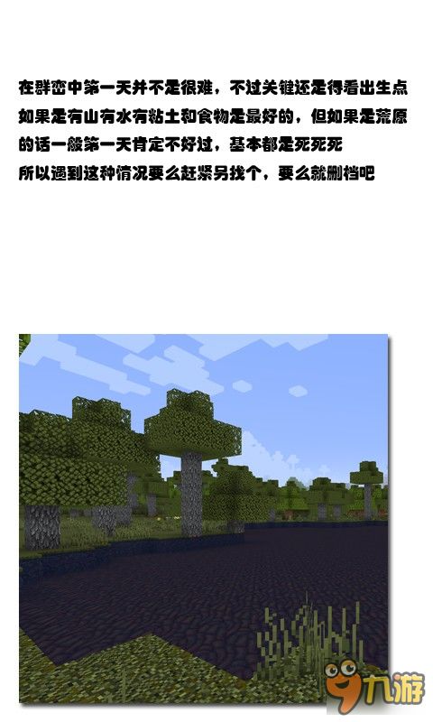 《我的世界：群峦传说新手到高手全面攻略》