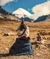 我非大无畏含义解析