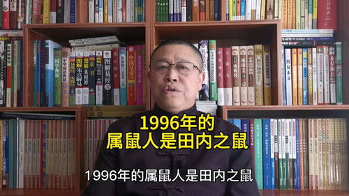 田内之鼠的含义解析