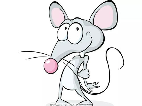 田内之鼠的含义解析