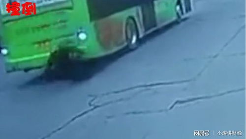 应对突发：公交车遭遇高空坠物撞击的紧急处理与预防措施