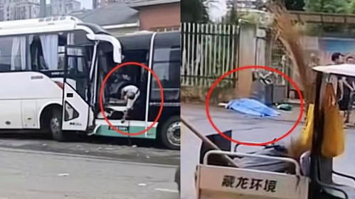 应对突发：公交车遭遇高空坠物撞击的紧急处理与预防措施