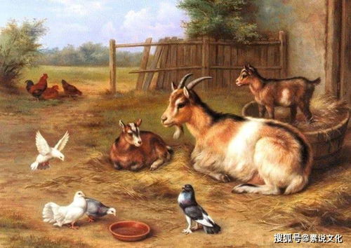 笔下留情猜动物打一最宜宠物