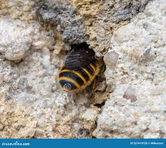 “体验身体一阵酥一阵麻，竟是这种感觉！”