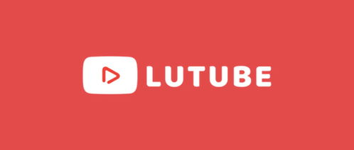 ！yeyelu官网为何无法访问？背后真相令人震惊！