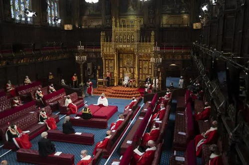 ！六人议会赠礼：是否蕴含专精分配的秘密？