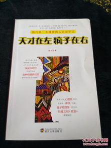 探秘心灵奇境：全本《天才在左疯子在右》TXT免费阅读指南