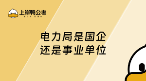 经贸局：它究竟是什么神秘单位？