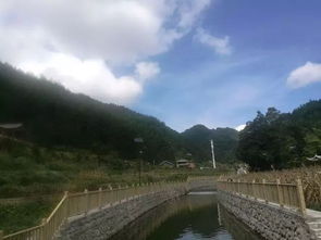 靓丽与亮丽：风景线用词之别探析