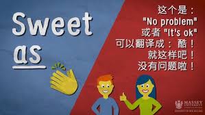 NZ含义解析：快速了解NZ代表什么