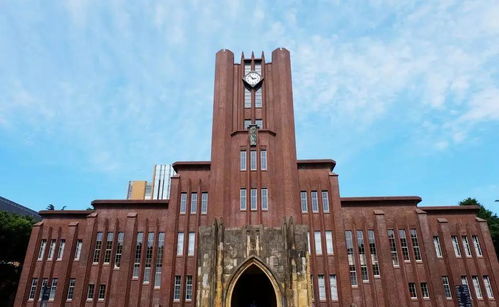 !中国玄学院:是通往神秘学府的大学之旅吗?