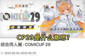 CP29的含义是什么？