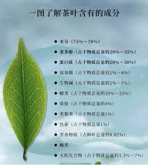 浙大茶黄金：真实效果与评估