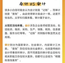 'Aduit'：这个神秘词汇的真正含义与奇妙翻译探索
