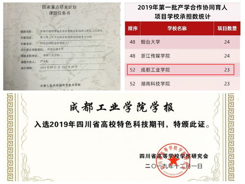 美赛奖项全解析：荣誉榜单与获奖类别一览
