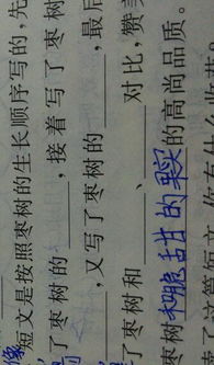 塑造卓越：解析高尚品质的核心要素