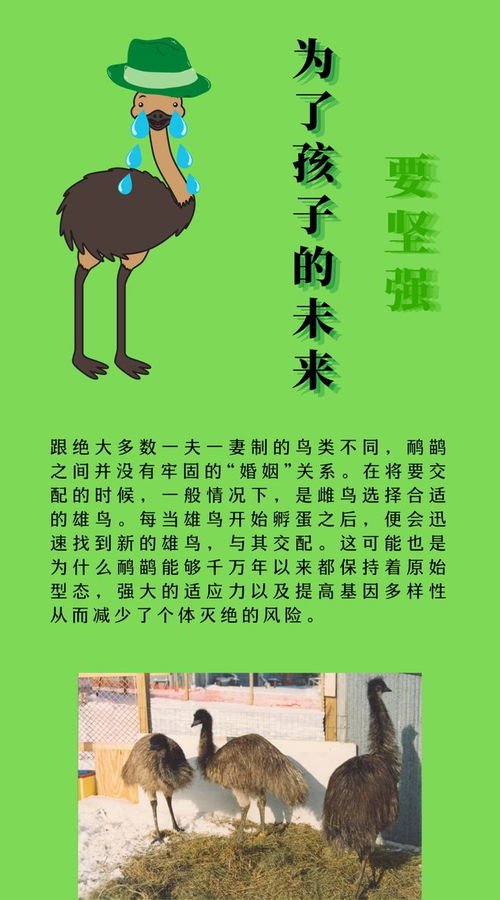 白罴的正确发音