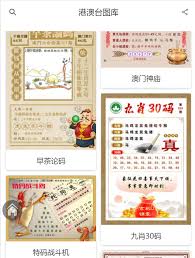 王中王100期期期准：是真相还是骗局？