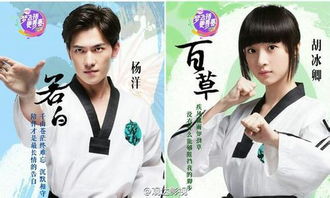 独家！《旋风少女》明晓溪小说大结局震撼曝光，你绝对猜不到的结局走向！