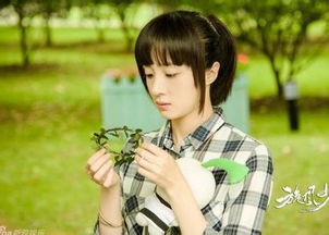 独家！《旋风少女》明晓溪小说大结局震撼曝光，你绝对猜不到的结局走向！