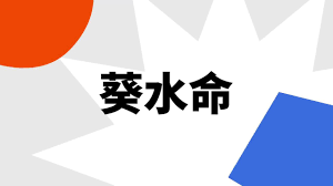 '葵水'：古老词汇背后的神秘含义，你了解吗？