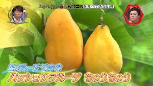 尝鲜一夏！时令果蔬盛宴：香蕉菠萝水蜜桃，搭配黄瓜丝瓜秋葵，清爽滋味满溢舌尖