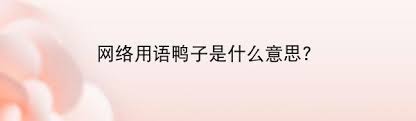 ！'鸭子'一词背后的真正含义，你知道吗？