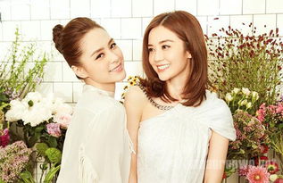 Twins电影全纪录：经典作品大回顾