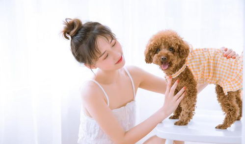 热门电影《丈夫不在的午后》女主角：她是谁？