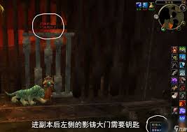 ！深渊裁决任务的神秘坐标，你敢来挑战吗？