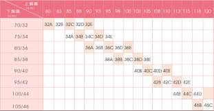 ！胸围尺寸大比拼：34E vs 36D，哪个更傲人？