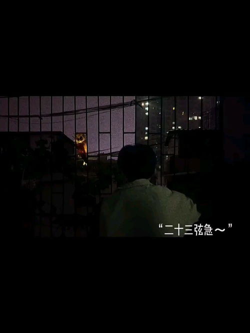 月落:天将破晓的诗意与宇宙奥秘