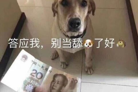 ‘YDL’梗：从网络热词到多元含义的深度探索