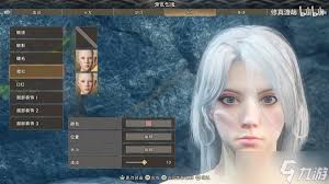 《辐射4》人物捏脸：精美角色创建指南