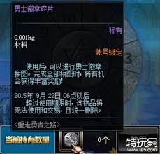 勇士徽记的实用价值与功能