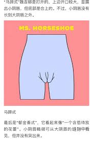 魏吉娜是什么意思？ origins及含义探秘